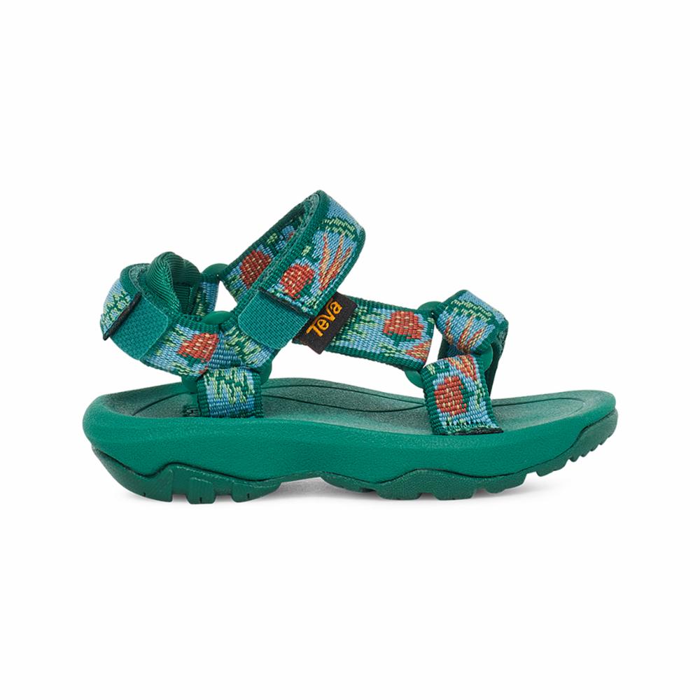 Teva Kids HURRICANE XLT 2 TODDLER GARDEN PACK BLUE SKY