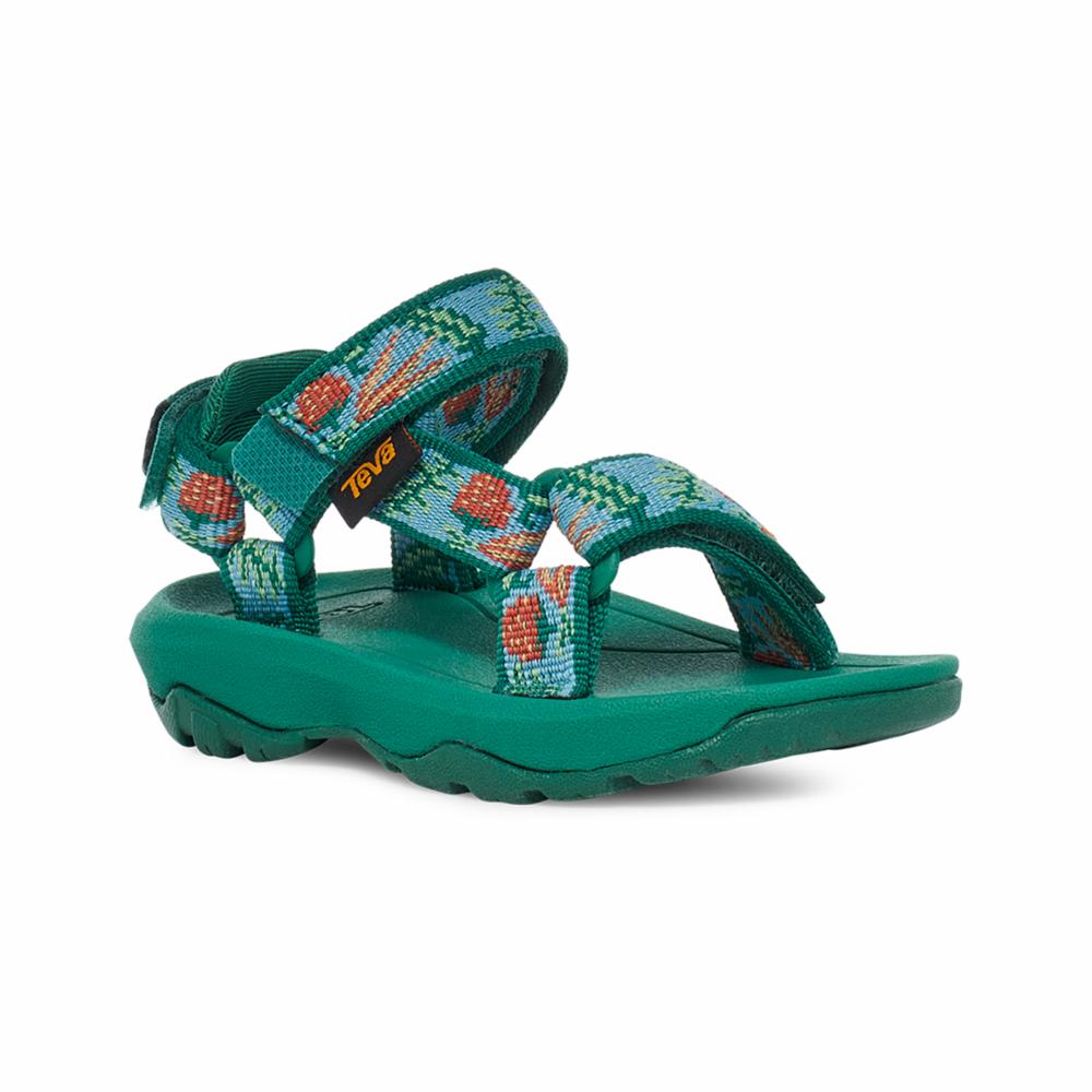 Teva Kids HURRICANE XLT 2 TODDLER GARDEN PACK BLUE SKY